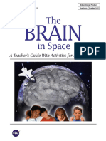 BrainInSpace PDF