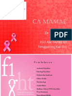 130565941-CA-MAMAE-Ppt.ppt