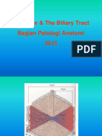 The Liver & The Biliary Tract Bagian Patologi Anatomi 2015