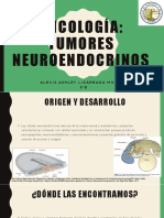 Oncología, Tumores Neuroendocrinos