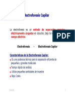 Electroforesis Capilar 2011 PDF