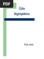 aula-2-ciclos-biogeoqumicos.pdf