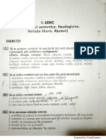 Lexic + Răspunsuri + Vocabular