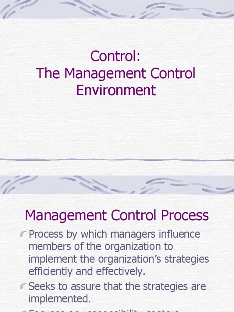 Control The Management Control Environment PDF Return On
