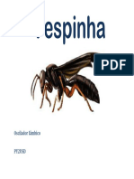 Vespinha Manual