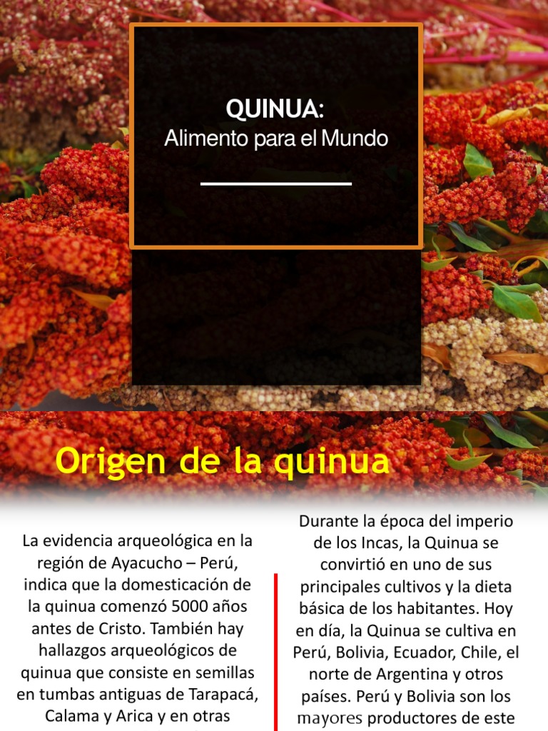 QUINUA PDF Quinua Diabetes