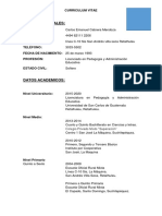 Curriculum Vitae Ejemplo