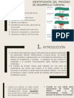 Identificación Del Proceso de Desarrollo Tumoral