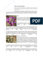 Flora Chilena.docx