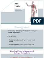 Clase de Sistema Cardiovascular