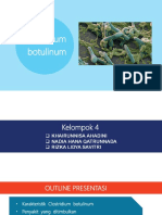 Kelompok 4 - Clostridium Botulinum