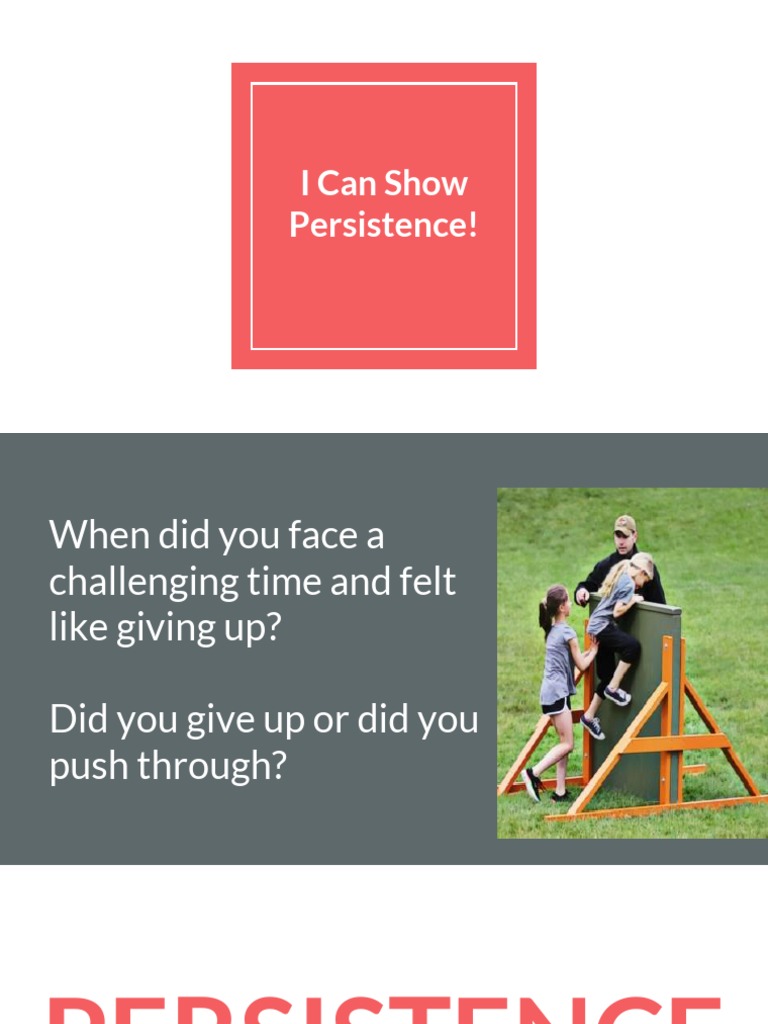 Embracing Persistence in Challenges | PDF