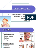 Anatomia de La Via Aerea