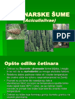 Seminarski Cetinarske Sume