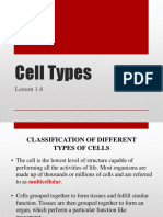 Cell Types