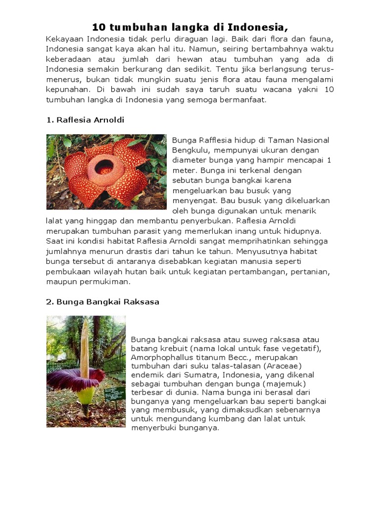 53 Gambar Hewan Langka Dan Tumbuhan Langka Di Indonesia HD Terbaik