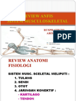 Review Anatomi Fisiologi Muskulo Skeletal