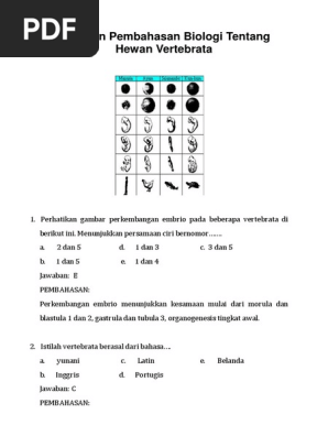41+ Gambar Jantung Hewan Vertebrata Terbaik