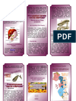 dokumen.tips_leaflet-batu-empedu.doc