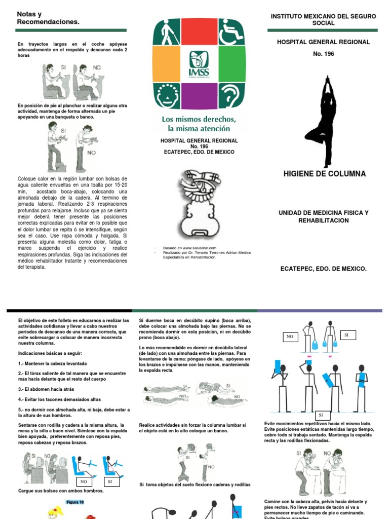 Higiene Postural y Cuidado de la Columna | PDF | Términos anatómicos de ...