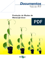 reprodução do maracujá doce.pdf