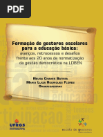 Delineamentos normativos da política de financiamento.pdf