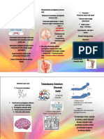 Tatalaksana Prehospital Stroke   Perdarahan leaflet.docx