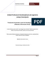 Reporte Final Fermentaciones producción de penicilina 