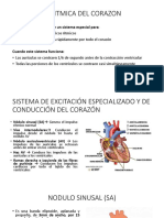 Ritmo cardíaco y sistema de conducción