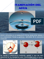 Contaminación Del Agua