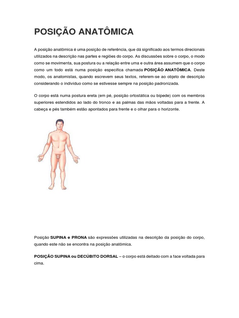 Posição Anatômica e Suas Variantes | PDF