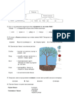 Biljke I Ziv PDF