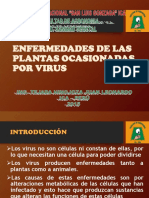 Enfermedades de plantas por virus