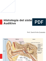 Histologia de Oido