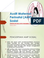 Audit Maternal Perinatal (AMP) Sosial