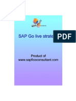 SAP Go Live Strategy