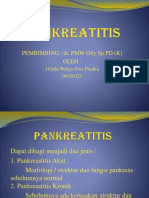 245617175-Pankreatitis.pptx