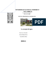 La Energia Del Agua Monografia 1