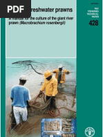 Download Farming Freshwater Prawn by Visanu Boonyawiwat SN38516866 doc pdf