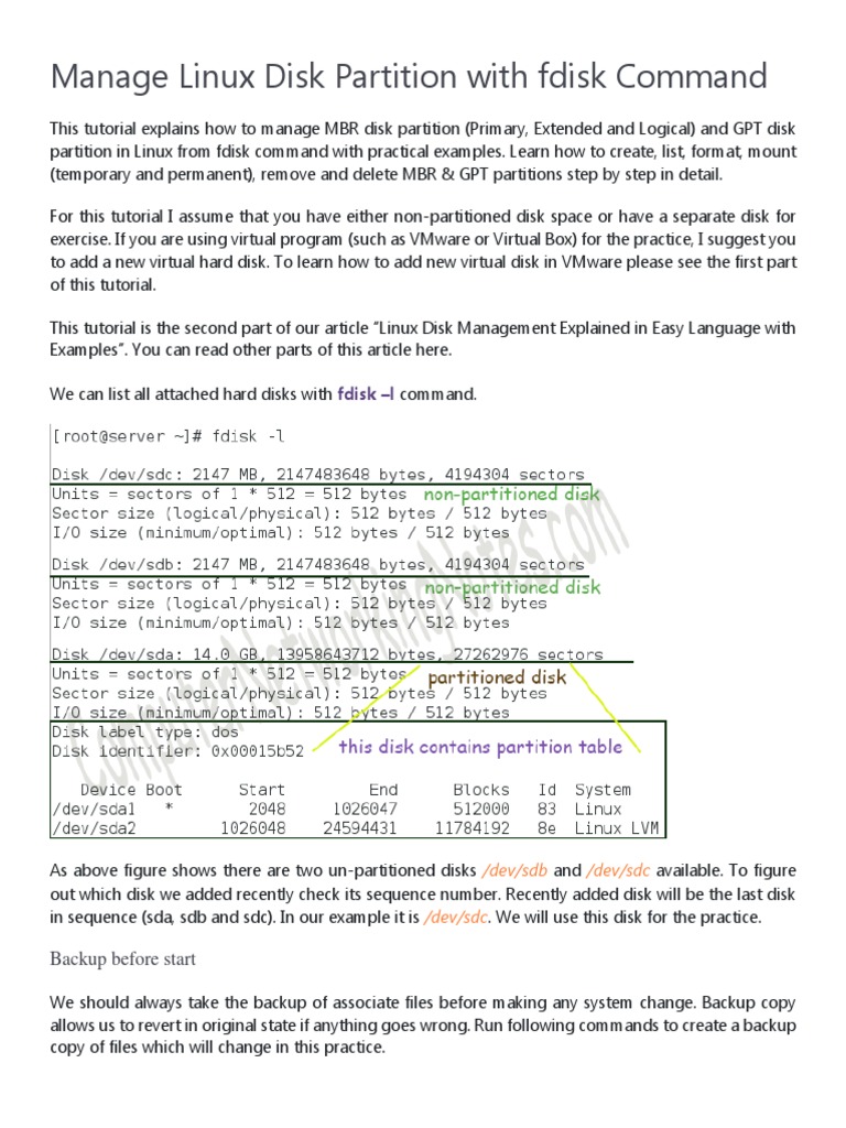 Manage Linux Disk Partition With Fdisk Command PDF File System