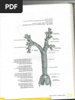 Draf Proposal Kegiatan Senam Prolanis