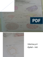 histologi