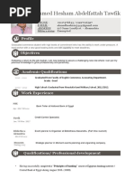 Ahmed Tawfik - Cv Sep, 2017