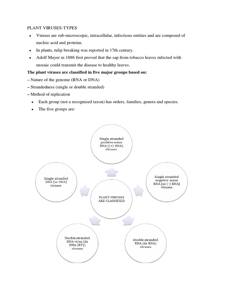 CLASSIFICATION OF PLANT AND ANIMAL VIRUS intelligence overview