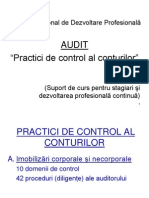 AUDIT - Practici de Control Al Conturilor 2010