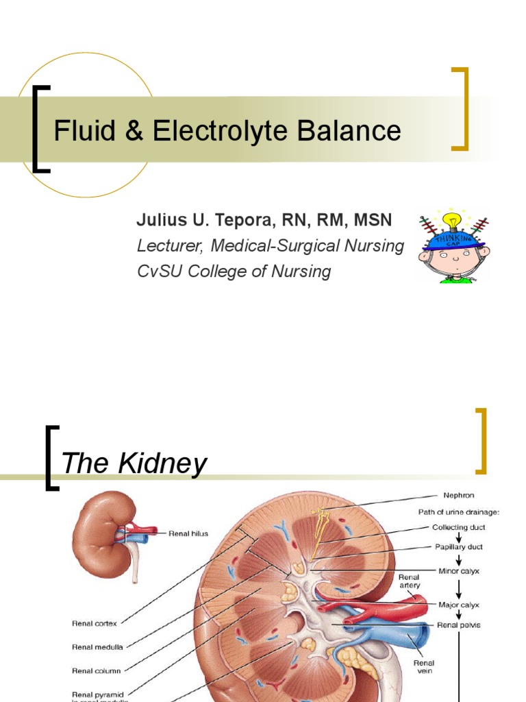 Fluid and Electrolyte Balance Guide | PDF | Electrolyte | Chloride