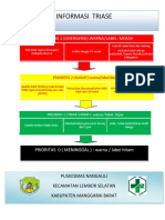 Informasi Triase 1