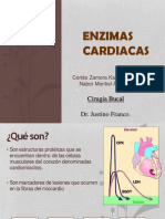 Enzimas Cardiacas