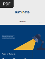 Luminate Brand Book 