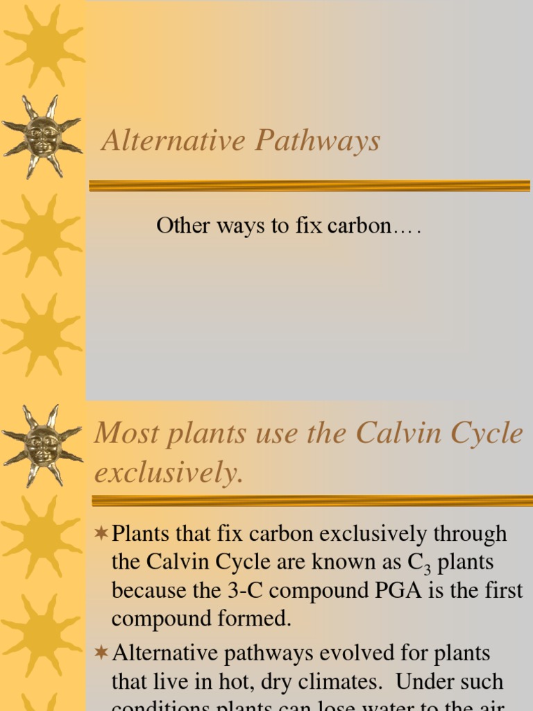 Alternative Pathways Powerpoint Pdf